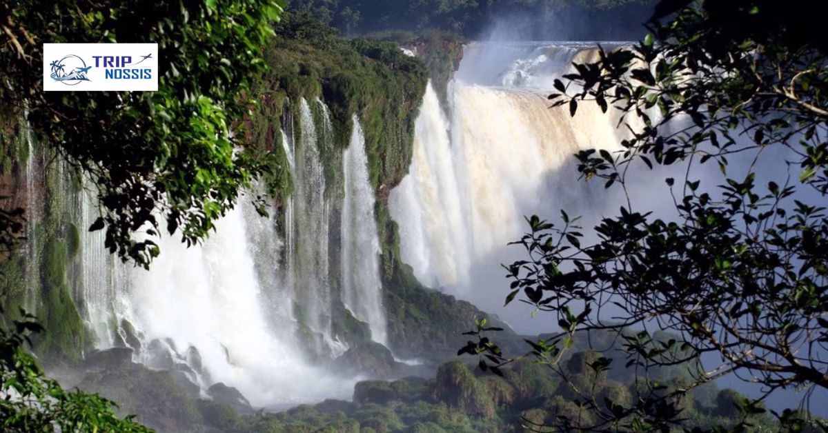 Iguazu Trip