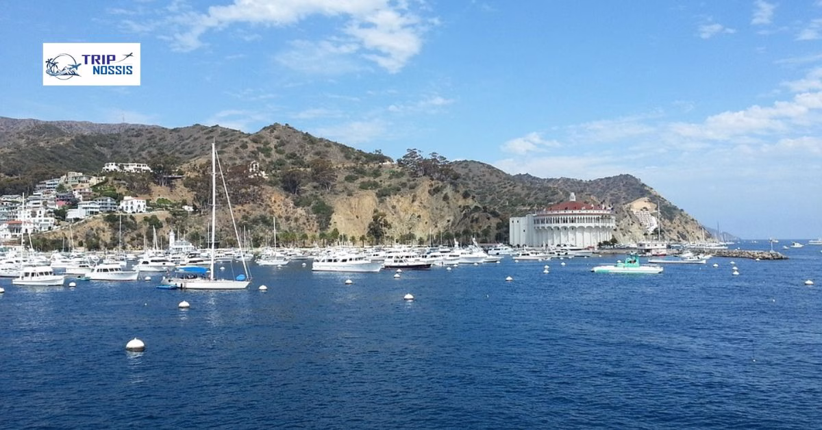 Catalina Island Day Trip