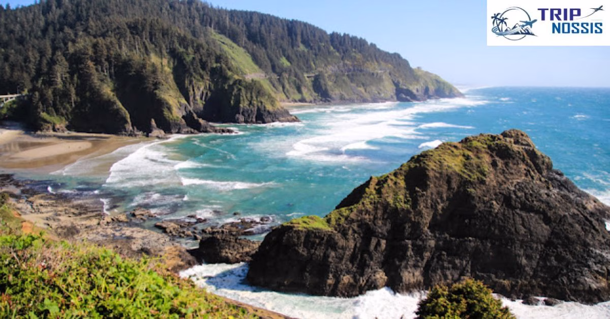 Seattle Day Trips