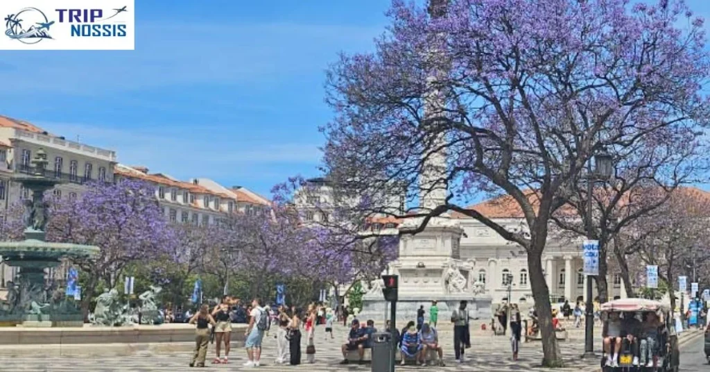 Scenic spring destinations in Portugal