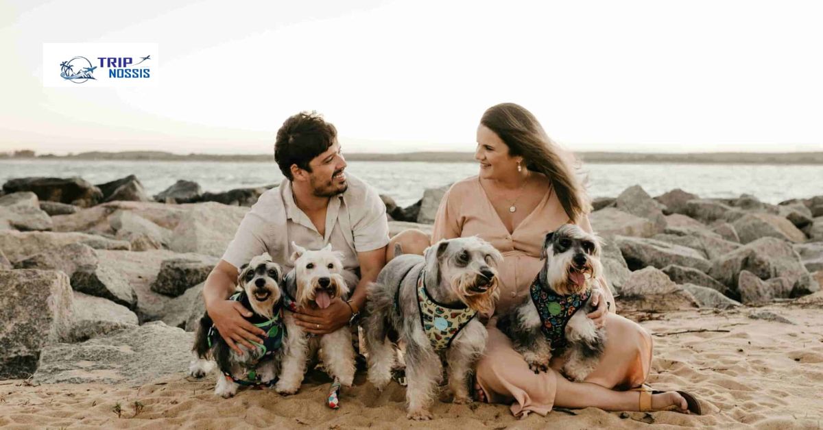 Pet Travel to Puerto Rico