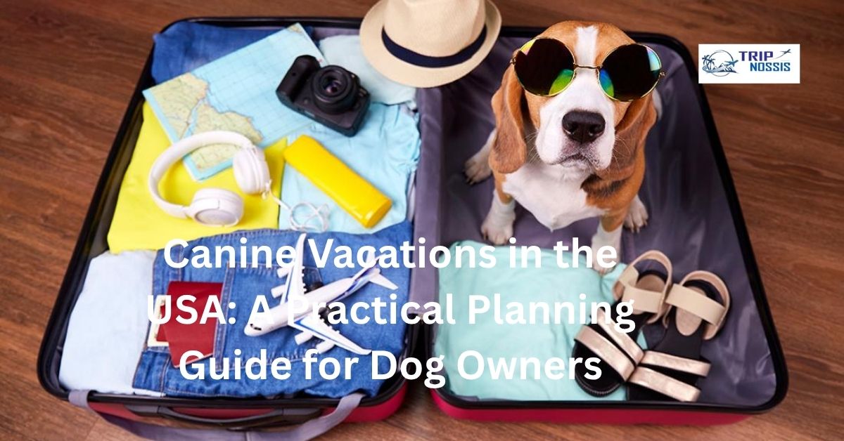 Canine Vacations
