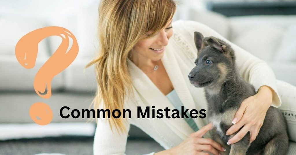 Common Mistakes First Time Canine Vacation Planners Make