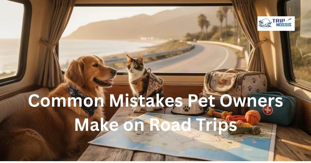 Common Mistakes Pet Owners Make on Road Trips
