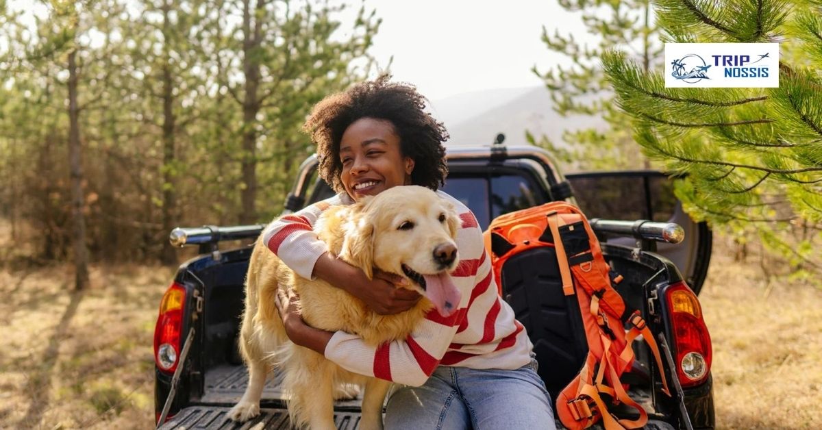 Road Trips With Dogs