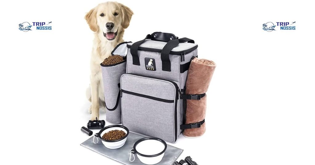Cross Country Road Trip Accessories for Dogs