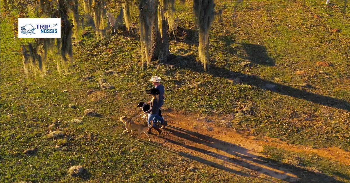 Dog Friendly Weekend Getaways Texas