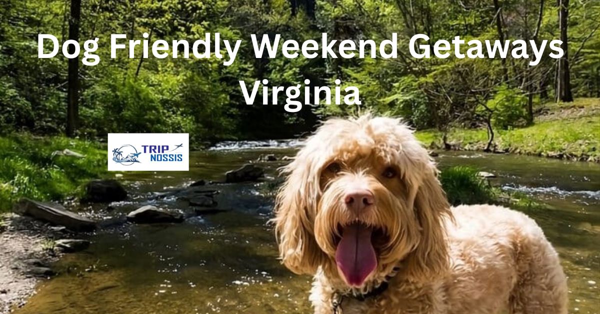 Dog Friendly Weekend Getaways Virginia