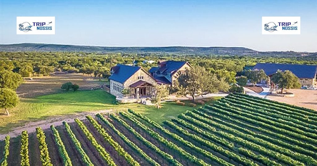 Fredericksburg: Hill Country Wine Country With a Real Dog Park