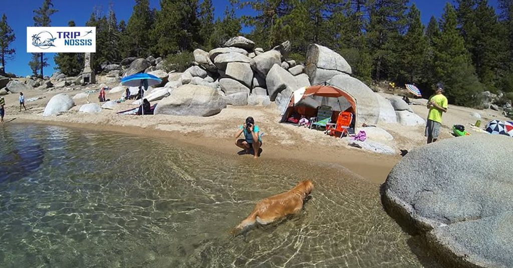 Is Kings Beach Lake Tahoe dog friendly?