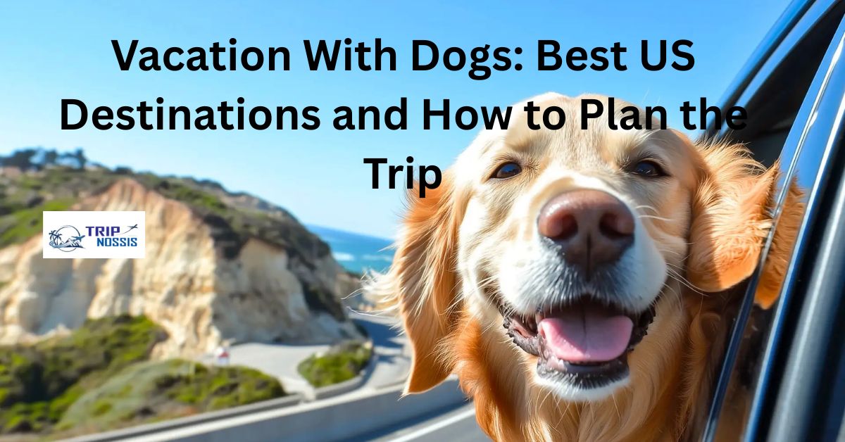 Vacation With Dogs