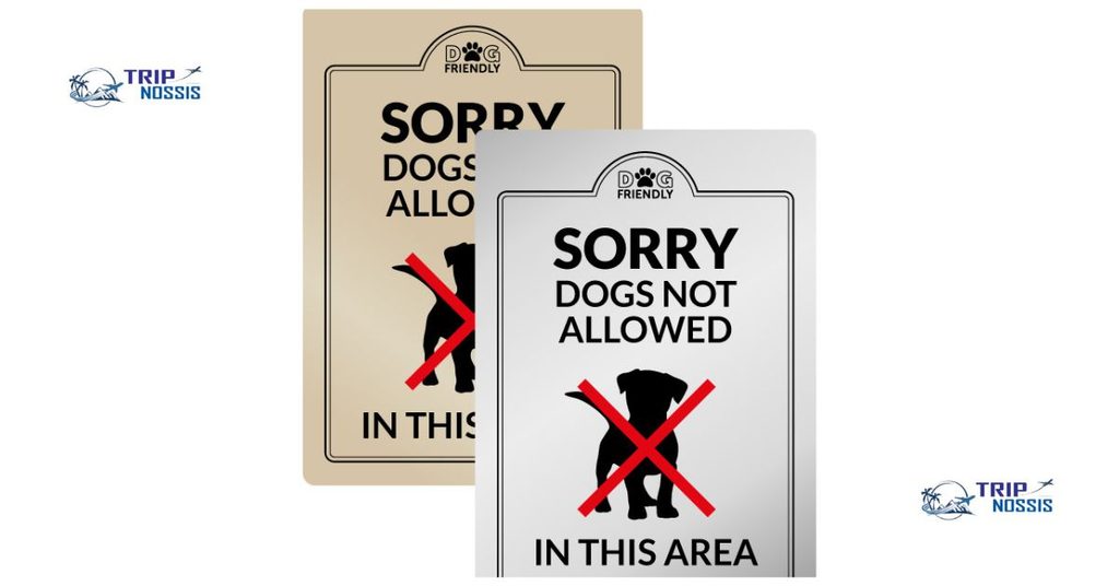 Where dogs are not allowed on Key Biscayne